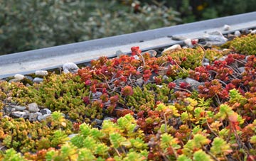 the cost of Craigdam green roof installation