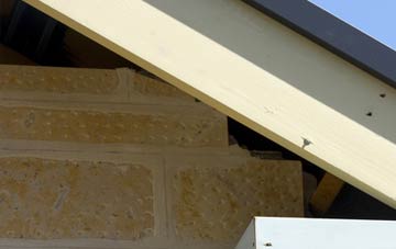 soffit repair Craigdam