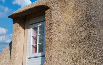 Craigdam thatch roof disadvantages