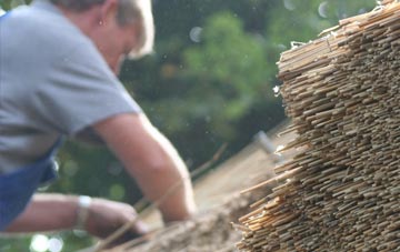 professional Craigdam thatchers